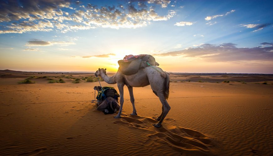 Embark on unforgettable journeys with Hua Nian Travel - Your gateway to the wonders of Morocco